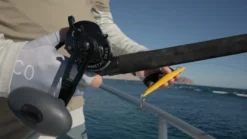 Accurate Ascender Star Drag Reels