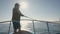 Accurate Ascender Star Drag Reels