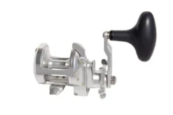 Accurate Tern 2 Star Drag Reels