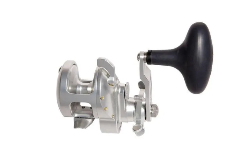 Accurate Tern 2 Star Drag Reels