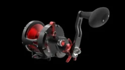 Avet MXJ Star Drag Reels