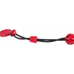 Berkley Cinch