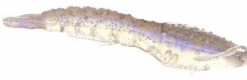 Berkley Gulp! Translucent Shrimp Soft Baits