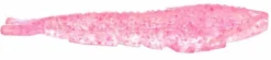 Berkley Gulp! Translucent Shrimp Soft Baits