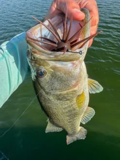 Core Tackle Dice Rig Hooks