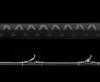 Daiwa Proteus Casting Rods