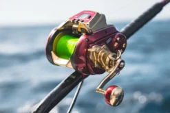 Daiwa 2024 Seaborg 1800M-RJ Electric Reel