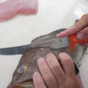 Dexter Dextreme 8" Single Edge Max Flex Fillet Knife with Sheath