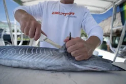 Dexter 8" Wide Fillet With Edge Guards