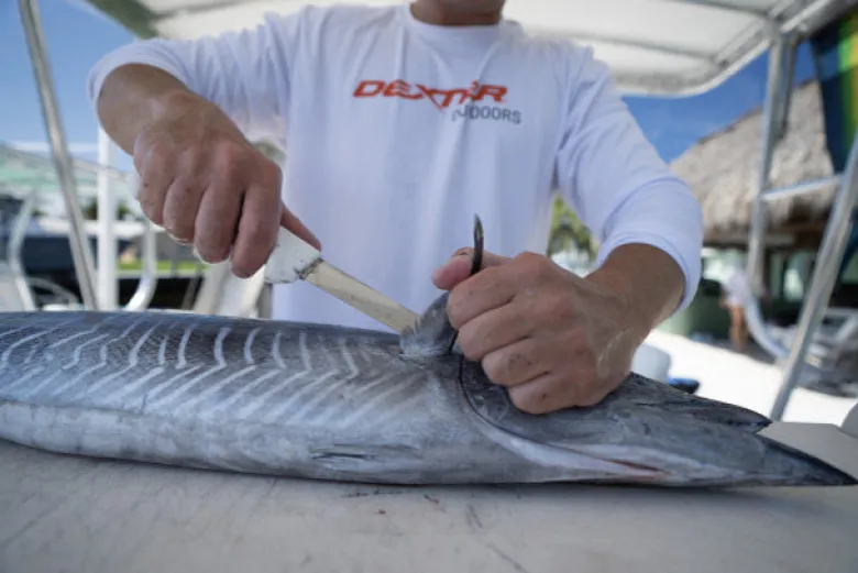 Dexter 8" Wide Fillet With Edge Guards
