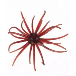 Hags Baits Prickly Pear Lures