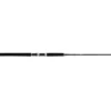 Jigging World Luminous Popping Spinning Rods