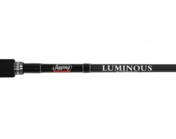 Jigging World Luminous Popping Spinning Rods