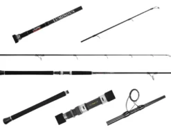 Jigging World Luminous Popping Spinning Rods