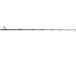 Jigging World Raptor Casting Rods