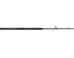 Jigging World Raptor Casting Rods