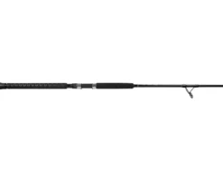 Jigging World Raptor Spinning Rods