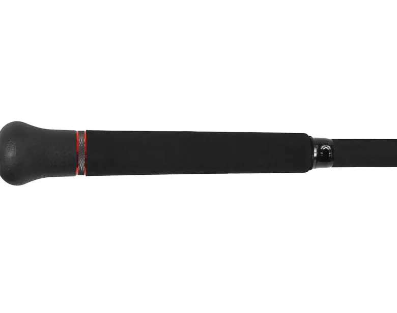 Jigging World Tide Rider Surf Spinning Rods