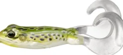 Live Target Freestyle Frogs