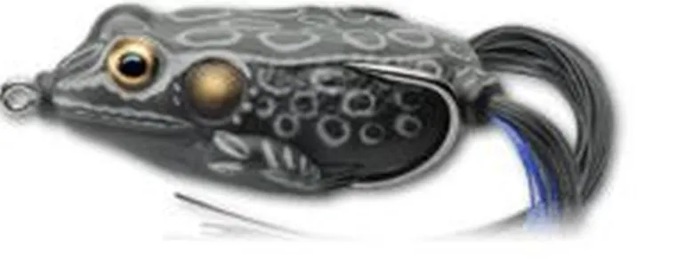 Live Target Hollow Body Frogs