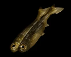 NLBN - No Live Bait Needed K-Tail Swimbait