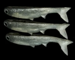 NLBN - No Live Bait Needed K-Tail Swimbait