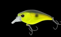 Nomad Atlas 70 Square Bill Crank Floating Lure