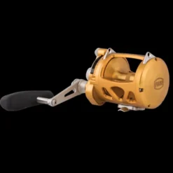 Penn International VISW 2-Speed Lever Drag Reels