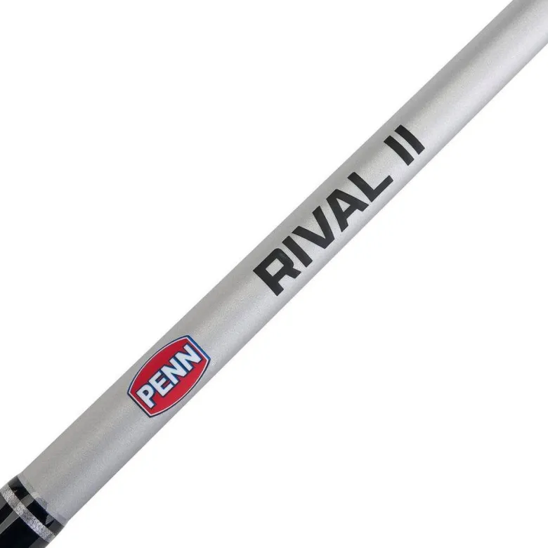 Penn Rival II Level Wind Conventional Combos