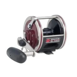 Penn Special Senator Star Drag Reels