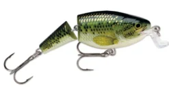 Rapala Jointed Shallow Shad Rap Lures