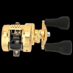 Shimano Calcutta Conquest MD