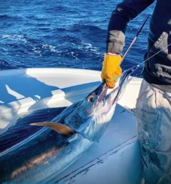 Small Lure Company Cruiser-T Bullet Trolling Lures