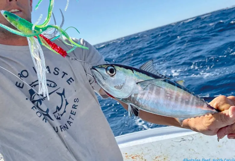 Small Lure Company Cruiser-T Bullet Trolling Lures