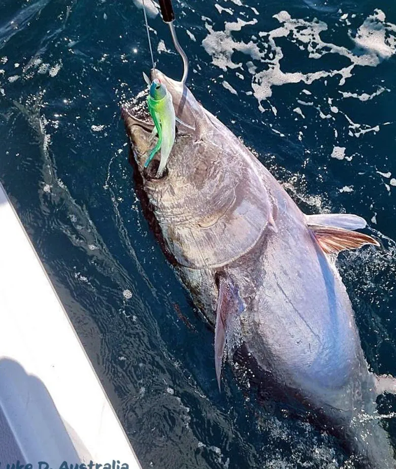 Small Lure Company Cruiser-T Bullet Trolling Lures