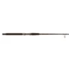 Star Rods Stellar Boat Spinning Rods