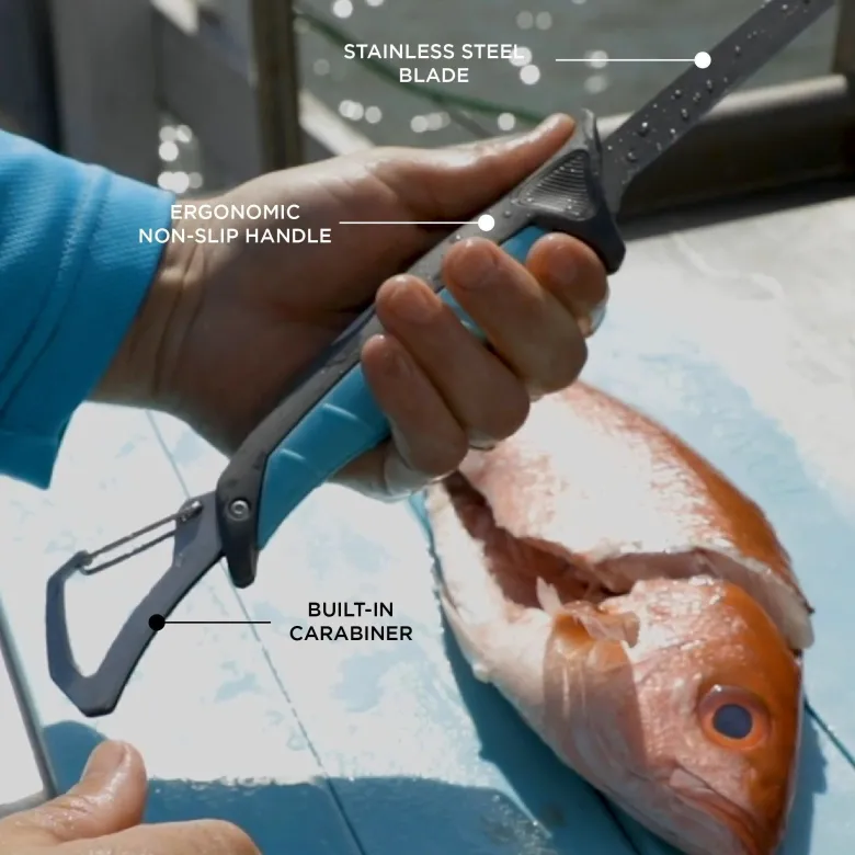 Toadfish Stowaway Folding Fillet Knives