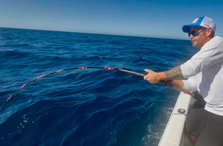 Tony Maja Blackfish Casting Rods
