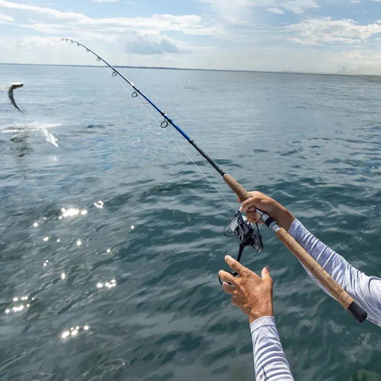 Tsunami 2025 Shield II Spinning Reels