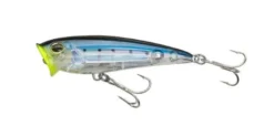 Yo-Zuri 3D Inshore Popper Lures