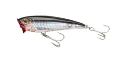 Yo-Zuri 3D Inshore Popper Lures