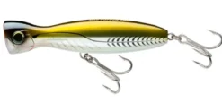 Yo-Zuri Mag Popper Lures